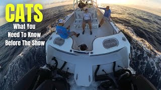 CATS What You Need Top Know Before The Show | Performance Handling Fishability