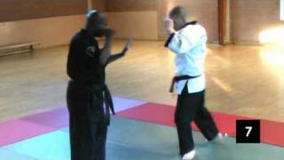 Browne Budo Ryu Kempo Jujitsu Demo