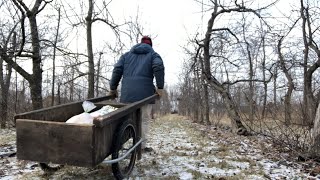 Winter Routine for the Permaculture Orchard \u0026 How to open a Bag without cutting