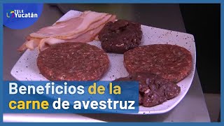 👉Descubre los BENEFICIOS de la CARNE de AVESTRUZ🍗 | TELE Yucatán