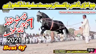 how to horse dance horse dance punjab pakistan