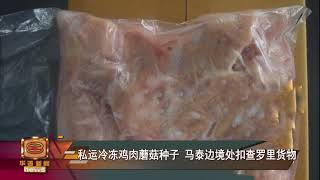 【私运冷冻鸡肉蘑菇种子    马泰边境处扣查罗里货物】