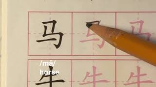 学写汉字：马/牛/羊 How to write Chinese characters: horse/cattle/sheep