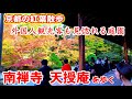 11/13(水)秋の京都散策🍁外国人観光客も見惚れる美しい庭園 南禅寺天授庵を歩く【4K】