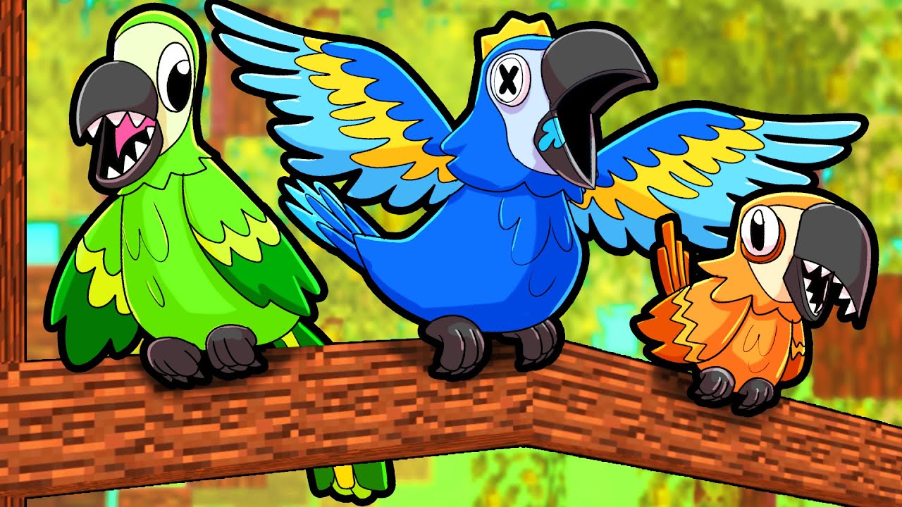 Rainbow Feather Family Youtube