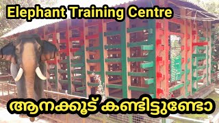 Konni Elephant Training Centre|കോന്നി ആനക്കൂട് വിശേഷങ്ങൾ|Pathanamthitta|Kerala|Travel|Malayalam Vlog