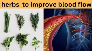 Best Herbs To Improve Your Blood Circulation Naturally