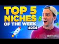 TOP 5 NICHES 🔥 Print on Demand Niche Research # 234 — (11/17/2024)