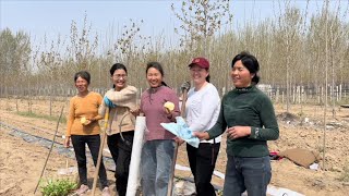 清香家春耕种西瓜，姐姐邻居都来帮忙，姐夫花钱买一桌硬菜带过来