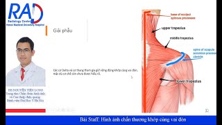 Hình ảnh CHẤN THƯƠNG KHỚP CÙNG VAI ĐÒN