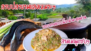 ลาบ​ปลาดุกอร่อยๆยามแลง