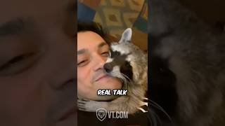 Raccoon Thanks Human for 5-Star Garbage Meals.’🦝😂