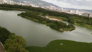 昆陽池公園空撮Ⅰ