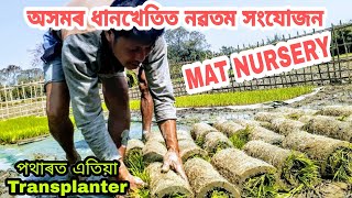 আধুনিক কৃষি ব্যৱস্থা|Mat Nurseryৰ জৰিয়তে ধানখেতি |মেচিনৰ সহায়ত ধান ৰোৱা কাৰ্য|Mat Nursery For Rice