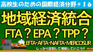 【高校生のための政治・経済】地域経済統合＃16