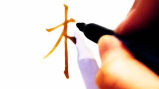 如何写林字/楷书/pinyin lin in chinese/硬笔书法练习/简体字/汉字学习/中文/普通话/写字练习/3000国家标准汉字#950