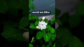 অবশ্যই এটা করা উচিত