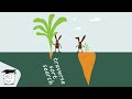 A Different View of Algorithms | Simple Python Tutorials