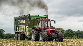 Mais XXL 2020 | Case IH 1455 XL - Zandman Beerze.