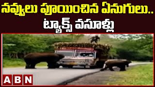 ABN Edition : నవ్వులు పూయించిన ఏనుగులు.. ట్యాక్స్ వసూళ్లు  || ABN Telugu