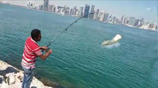 Fish Hunting | কাতারে আরব সাগর থেকে কিং ফিস মাছ ধরা। Fishing in The Sea