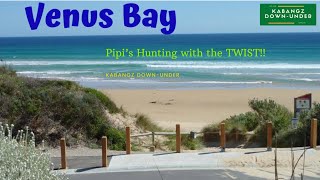 VENUS BAY Pipi’s Hunting + Camping #venusbay #camping