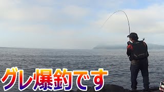 全然釣れないかと思ったらグレが入れ食いでした　　　大分米水津 千畳敷