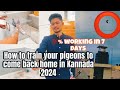 How to train your pigeon to come back home in Kannada in 7 days %💯Working