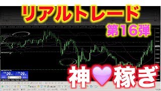 【FXリアルトレード Vol.16】2万円がたった1日で10倍に！？