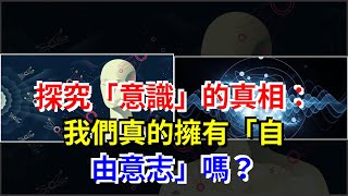 探究“意識”的真相：我們真的擁有“自由意志”嗎？