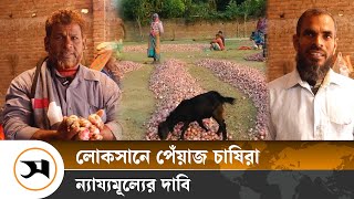 কুষ্টিয়ায় লোকসানে পেঁয়াজ চাষিরা, দাবি ন্যায্যমূল্যের | Kushtia | Samakal News