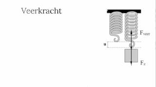 De veerkracht en de zwaartekracht