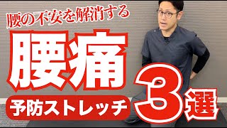 毎日できる腰痛を予防する3つのストレッチ　｜京都市北区　もり鍼灸整骨院