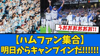 【明日からスタート】ハムファン、キャンプの注目ポイント語り合う!!!!【プロ野球反応集】【2chスレ】【5chスレ】