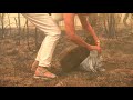 Woman saves koala from Australian bushfire