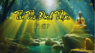 Trí Tuệ Đích Thực Là Gì  | Thiền Sư Ajahn Chah |