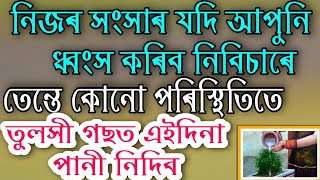 কোনো পৰিস্থিতিতে এই সময়ত তুলসী গছত পানী দিব নালাগে, অন্যথা সংসাৰ ধ্বংস হৈ যায় ।।