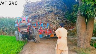 Massey 240 | pulling shogarcan loud | traly