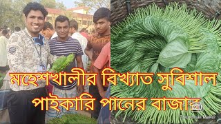 অত্যন্ত সুস্বাদু মহেশখালীর বিখ্যাত পানের বিশাল বড় ঐতিহ্যবাহী পানের বাজার।