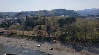 青梅 多摩川 釜の淵～鮎見橋　2022年4月10日