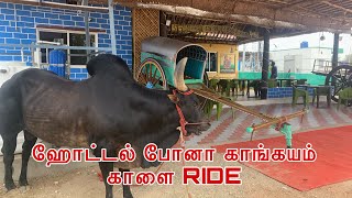 தரமான கிராமத்து சமையல் | காங்கேயம் காளையர் உணவகம் | Weight'u Bruh