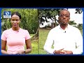 Eco Africa | 21/06/2020