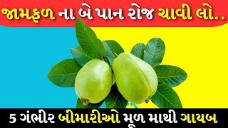 ખાલી પેટ જામફળના 2 પાન ખાવાના 5 ફાયદા. જામફળના પાંદડાના 5 સ્વાસ્થ્ય લાભો