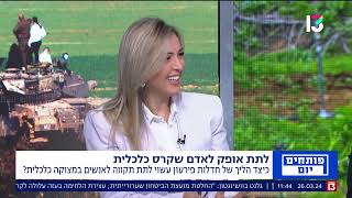 חדלות פרעון | עו\