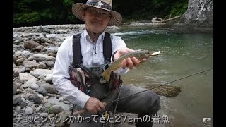 秋田県皆瀬川のイワナ・ヤマメ釣り🐟渓流ルアーフィッシング