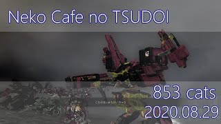 【ACVD】猫カフェの集い 853匹目