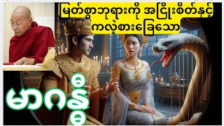 မြတ်စွာဘုရားကို အငြိုးစိတ်နှင့် ကလဲ့စားခြေသောမာဂဏ္ဍီ    - ပါမောက္ခချုပ်ဆရာတော်