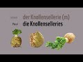 learn german vocabulary cabbage and root vegetables