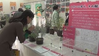 筑波実験植物園で触れる植物展