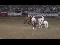 melbourne international rodeo